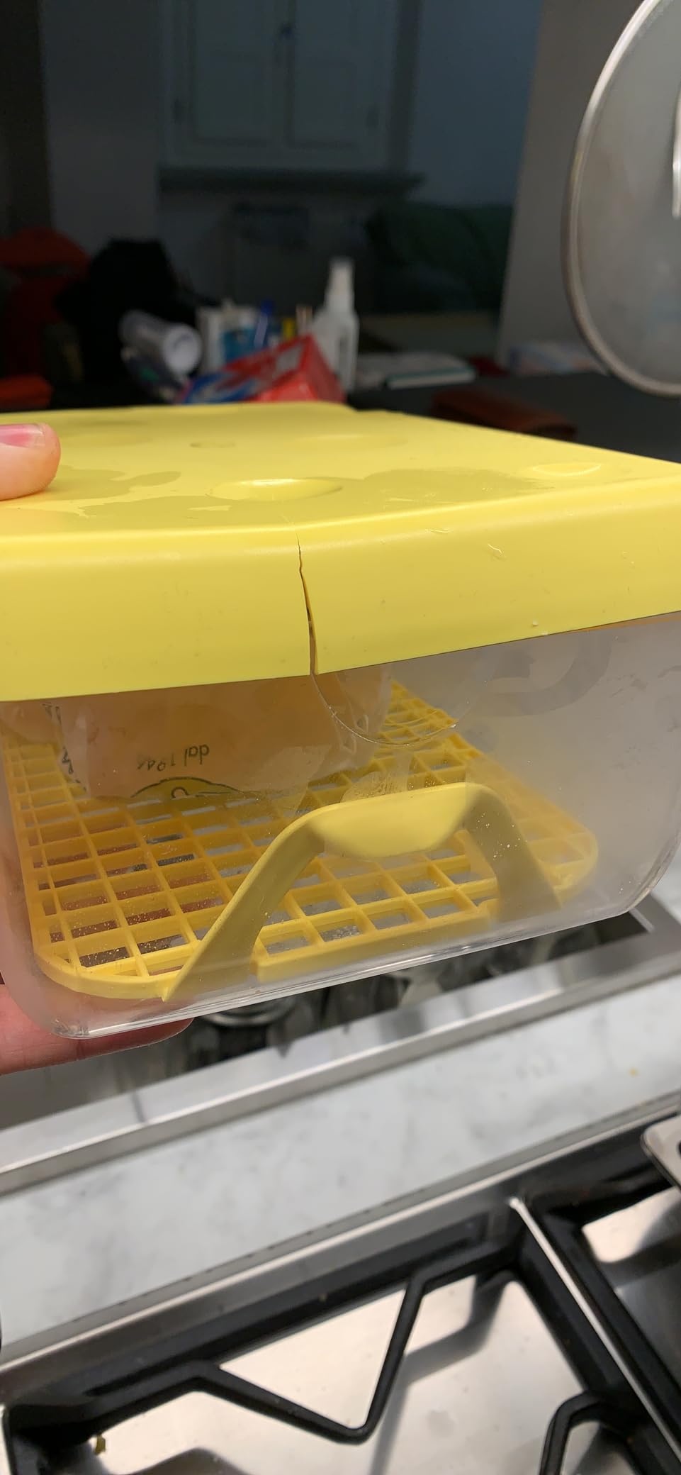 Il miglior acquisto per il frigo