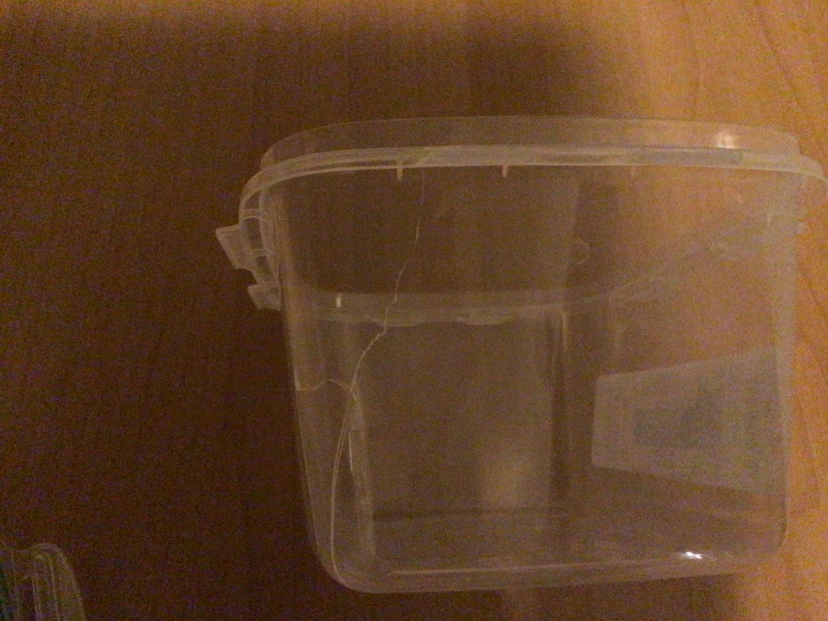 Ottimo prezzo per tre pezzi