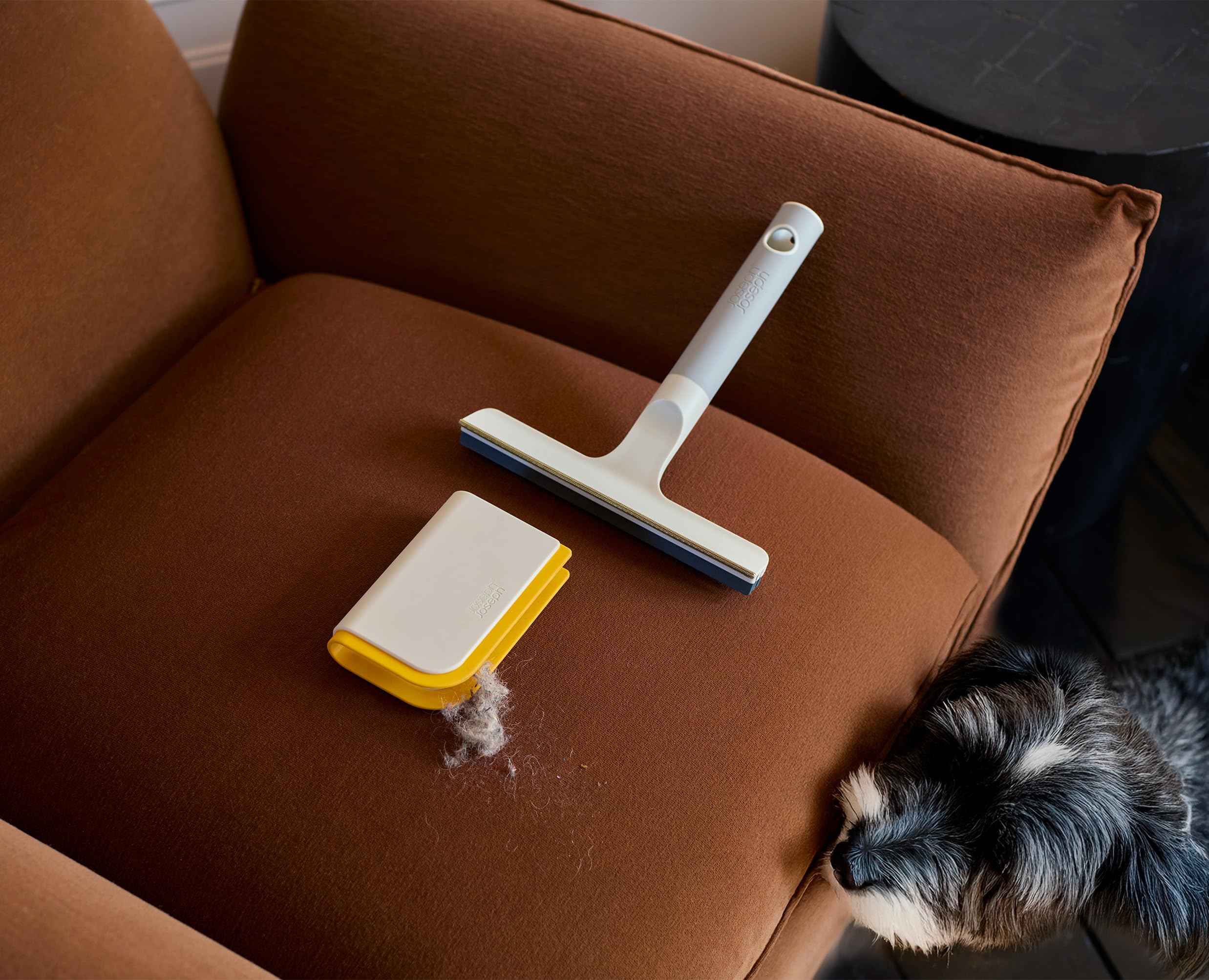 joseph-joseph-cleantech-set-3-pezzi-rimuovi-peli-animali-spazzola-per-tappeti-e- image 3